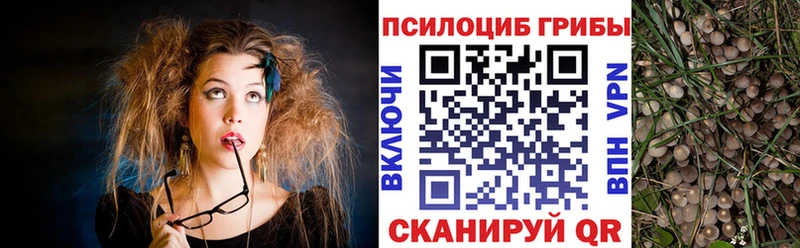 даркнет как зайти  где можно купить наркотик  Кумертау  Галлюциногенные грибы ЛСД 